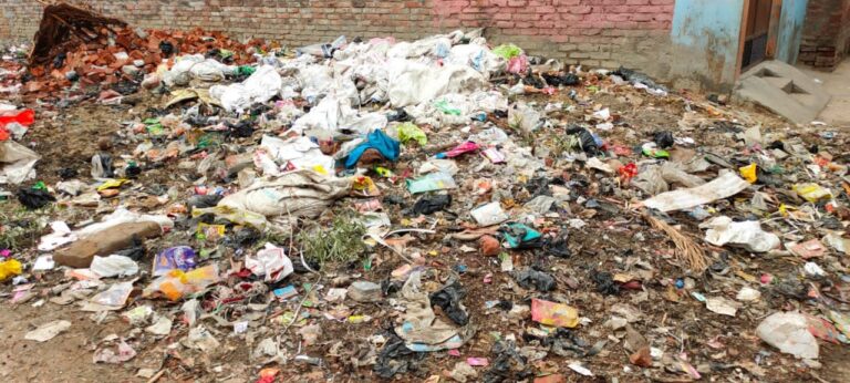 अधिकारियों के घर व आफिस में चाकरी कर रहे हैं, सफाईकर्मी