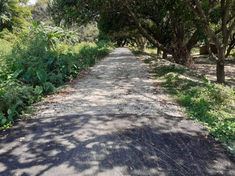 विभाग बेपरवाह,150 मीटर सड़क विगत कई माह से पड़ा है अधूरा