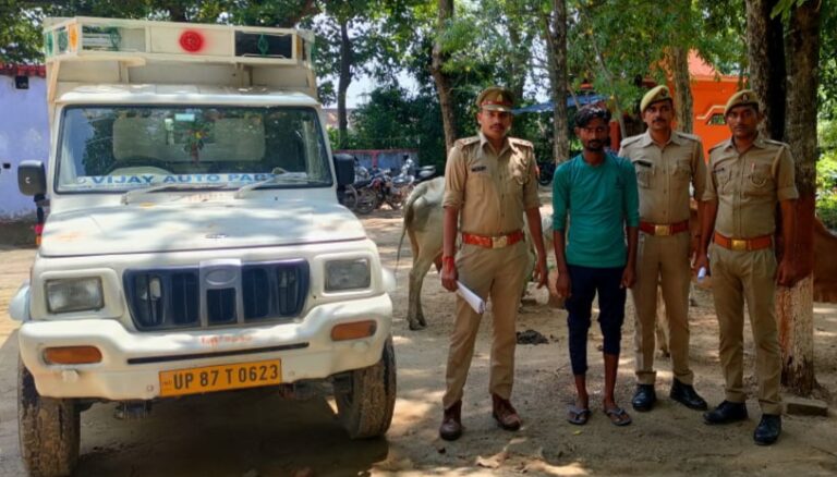 चार राशि गोवंश के साथ तस्कर गिरफ्तार पुलिस ने भेजा जेल