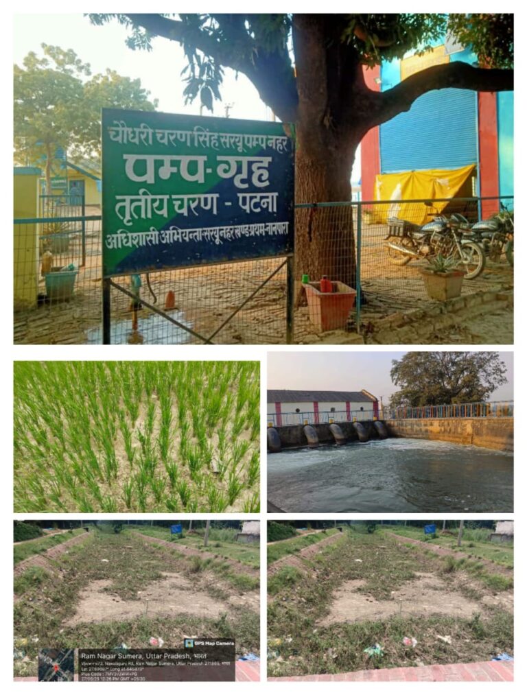 सूखे ने तोड़ी किसानों की कमर, नहरों में पानी न आने से धान की फसल पर संकट
