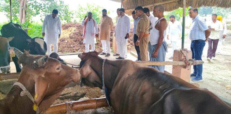 गौ सेवा आयोग के उपाध्यक्ष ने किया विसरापार गो-आश्रय का निरीक्षण
