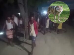 फिर लौट आया लोगों के अन्दर खूंखार जानवर की दहशत