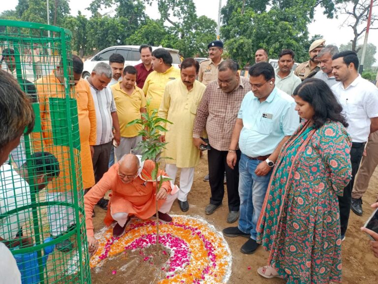 सुभाष चौराहे से पुत्तुलाल चौराहे तक सड़क के दोनों तरफ किया गया पौधरोपण