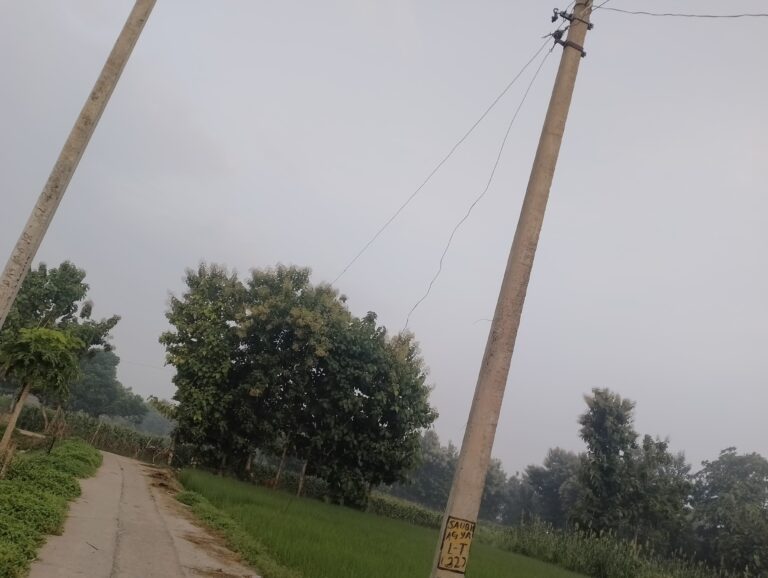 बिजली विभाग के कारनामे चेकिंग के दौरान घरों को छावनी में तब्दील
