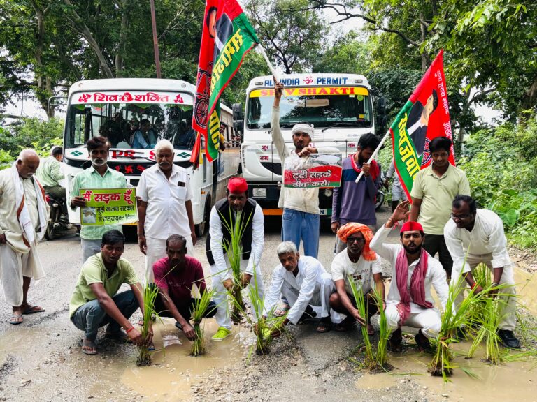 सड़क बनाने के लिए सपा का विरोध प्रदर्शन, टूटी सड़क पर रोपा धान