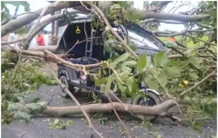 भारी बारिश से जन जीवन व्यस्त, फसले,पेड़ गिरे, विद्युत पोल टूटे
