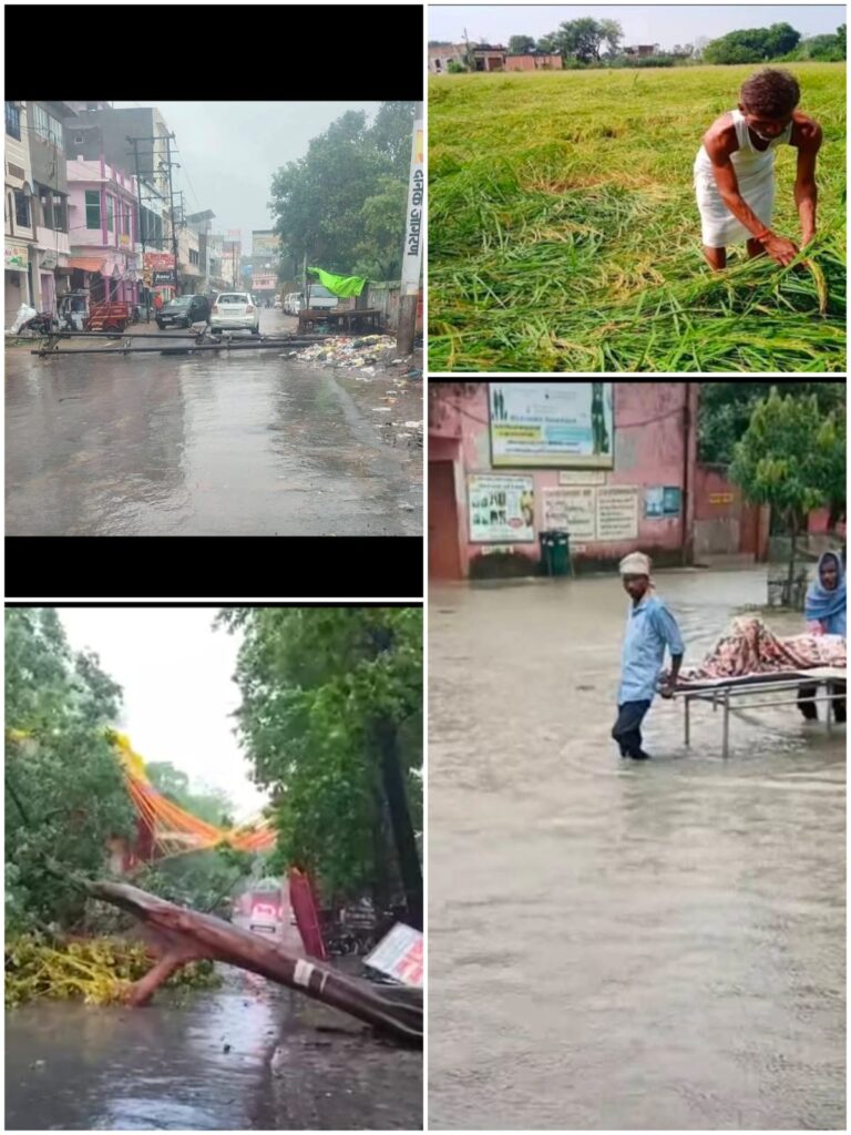 🌳 देवरिया में तूफानी बारिश का कहर : सड़क पर गिरे पेड़ से युवक घायल, डीएम दिव्या मित्तल ने संभाली कमान