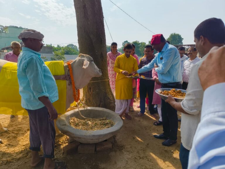 डीएम ने गोवर्धन पूजा के अवसर पर किया गोसदन में पूजन, गोंवंशो को खिलाया गुड़-चना-केला