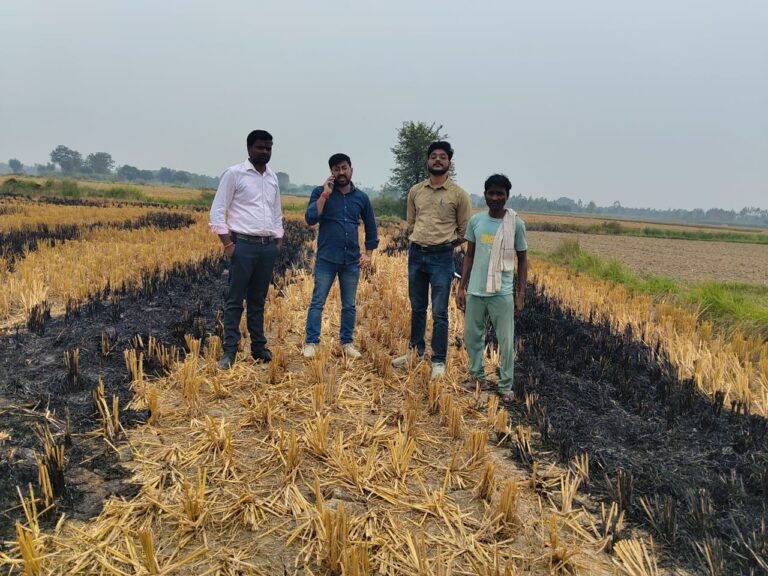 पराली जलाने पर अब तक बीस कृषकों पर लगाया गया अर्थ दण्ड