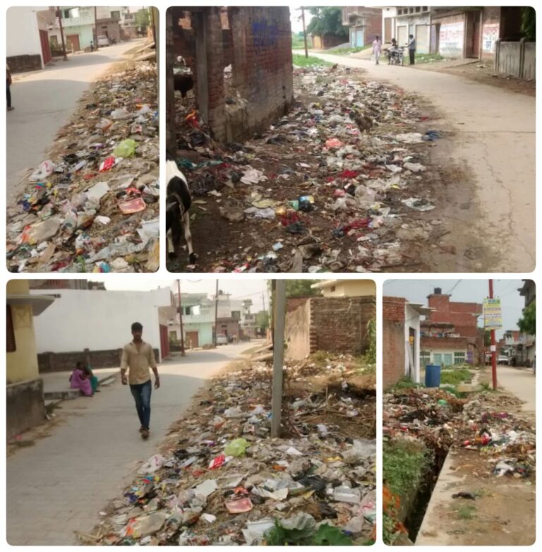 स्वच्छता अभियान का लग रहा पलीता, सरकार हो रही बदनाम करोड़ों खर्चने के बाद नहीं बदल रही गांवों की सूरत