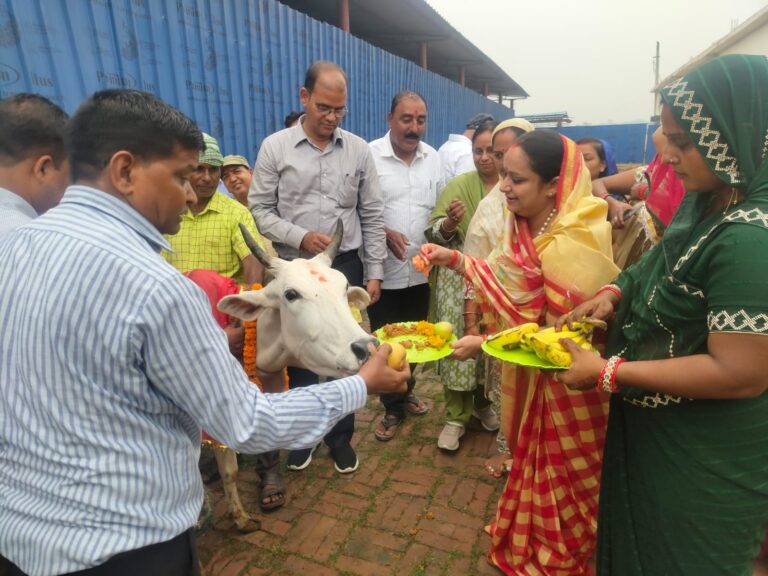 गोपाष्टमी को गाय माता की विधि विधान के साथ किया गया पूजन
