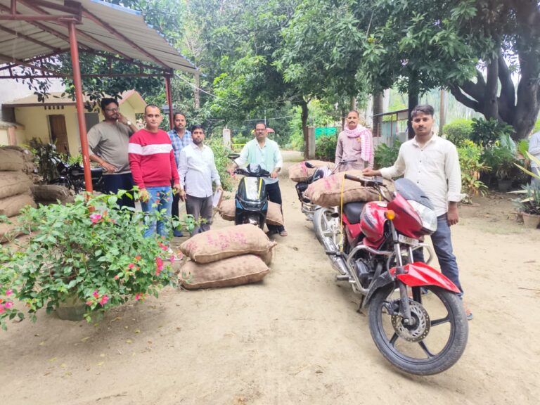 उद्यान विभाग गुणवत्ता युक्त आलू व रबी मौसम के सागभाजी बीज उचित अनुदानित दर पर कराए जा रहे हैं उपलब्ध