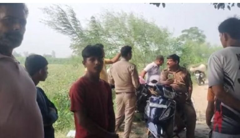 मेरठ में गोकशी की बड़ी घटना: श्मशान घाट में मिले पशुओं के अवशेष, पुलिस पर लगे सबूत मिटाने के आरोप