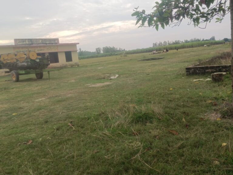 मनरेगा के तहत पौधारोपण कार्य बना कागजी, ग्राम पंचायत उमरिया में नहीं लगे एक भी पौधे