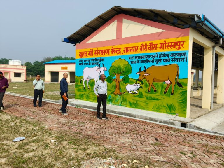 जिला विकास अधिकारी ने किया वृहद गो संरक्षण केंद्र चवरी का निरीक्षण, दी व्यवस्थाओं को बेहतर बनाने के निर्देश