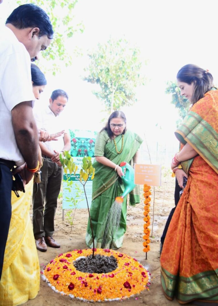सिंदूर का पौधा लगाकर कुलपति ने किया मियावाकी वन का शुभारंभ