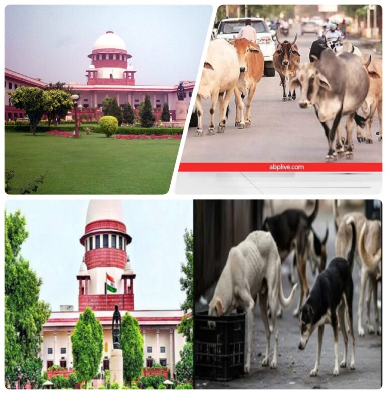 आठ हफ्तों में सड़कों से हटाने होंगे सभी आवारा पशु- सुप्रीमकोर्ट