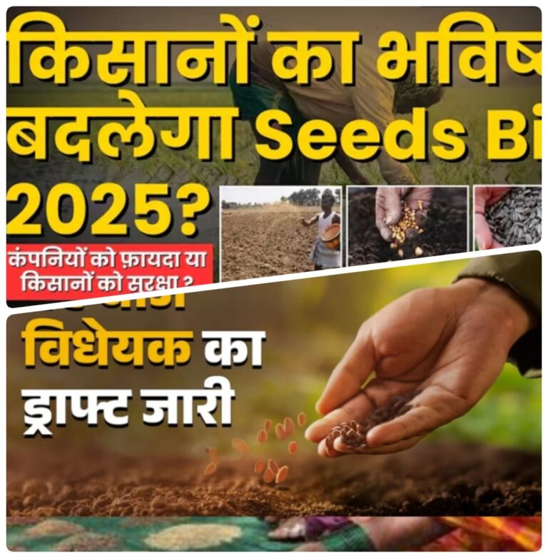 फर्जी बीज, अवैध बिक्री और झूठे दावों पर कड़ी पकड़ होगी नए मसौदे में