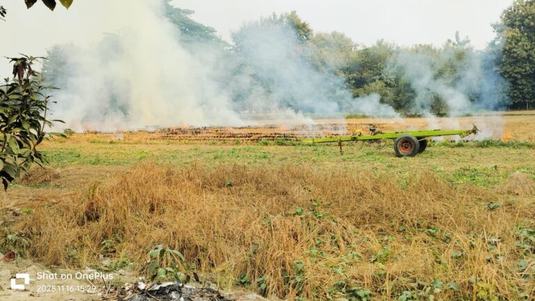 पराली प्रबंधन पर सरकारी प्रयास बेअसर, सलेमपुर क्षेत्र में नहीं दिख रहा सुधार