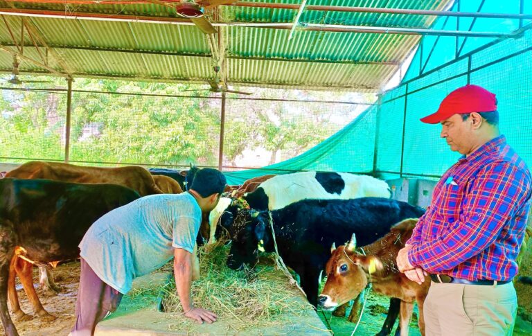 पशुओं को ठंड से बचाने का उपाय करें पशुपालक-निशिकांत तिवारी
