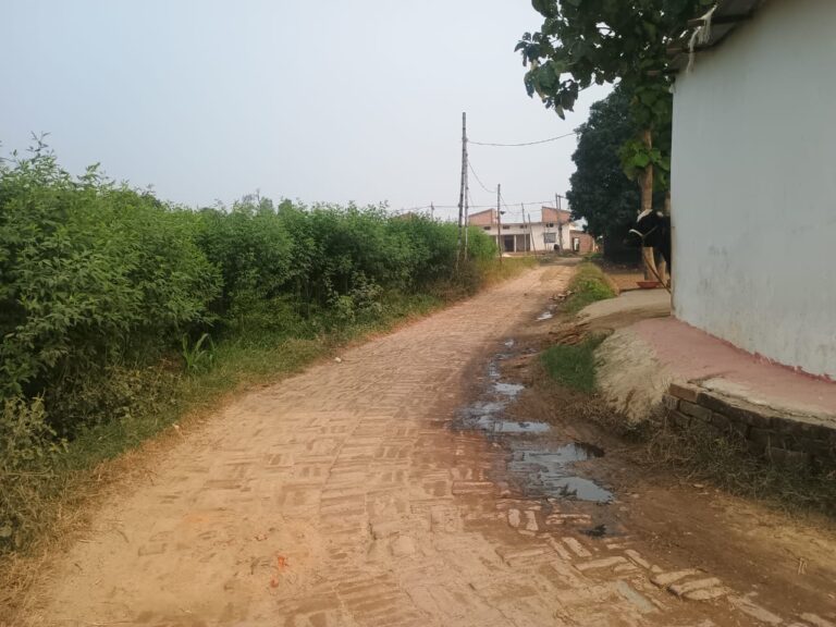 टूटी सड़क पर चलने को मजबूर ग्रामीण हो रहे है घायल