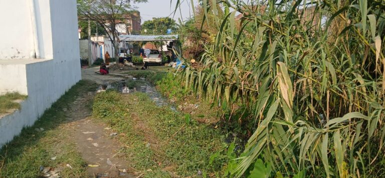 दलित बस्ती में जल- जमाव ,जिम्मेदार बेखबर