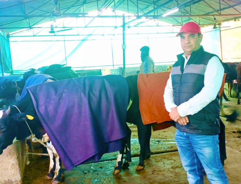 निराश्रित पशुओं को ठंड से बचाव हेतु काउकोट की व्यवस्था