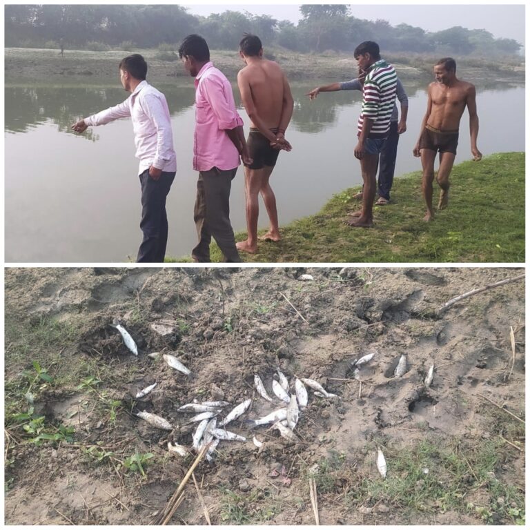बहगुल नदी में जहरीली दवाई डालने से हजारों मछलियों की मौत