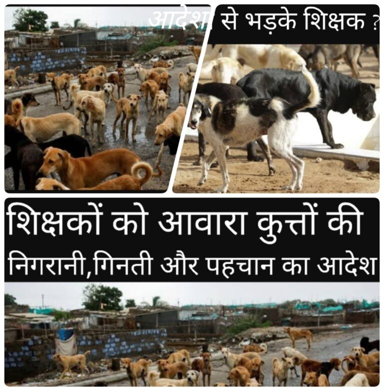 जम्मू-कश्मीर में नया विवाद: शिक्षकों को कुत्तों की पहचान का आदेश — शिक्षा की गरिमा पर सवाल