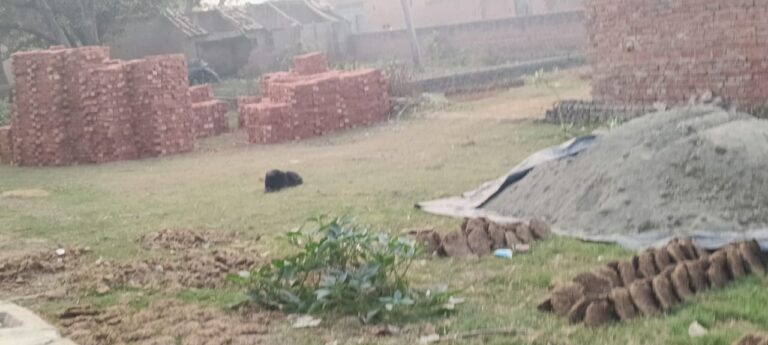 महिला की जमीन हड़पने का आरोप, अवैध प्लॉटिंग और जानलेवा धमकियों से दहशत