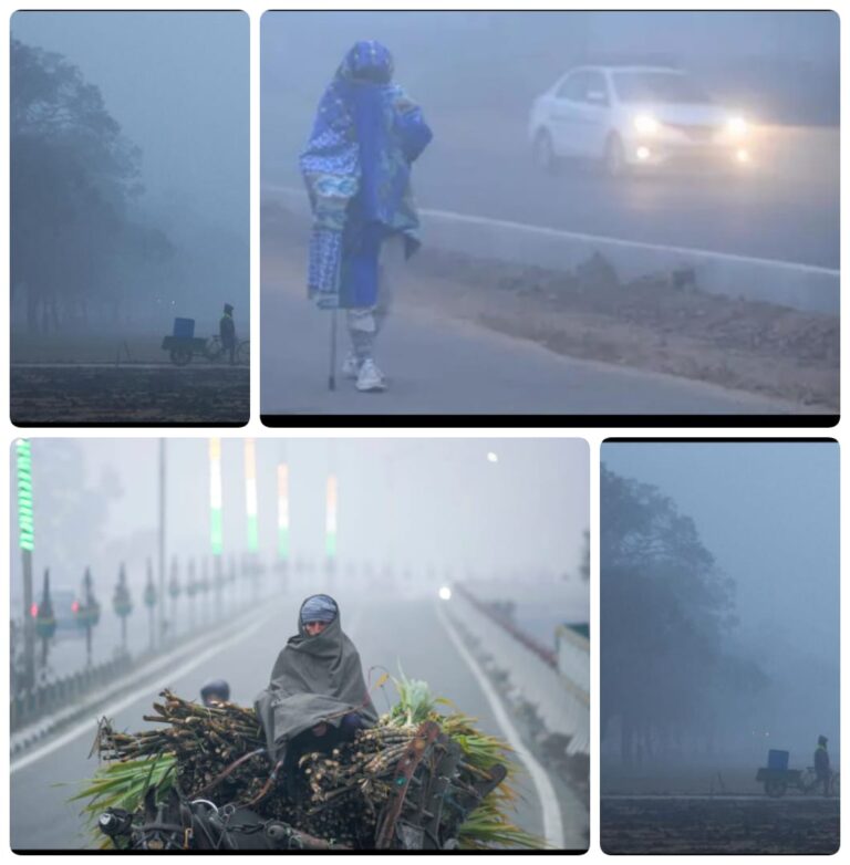 उत्तर भारत में शीत दिवस और कोहरे का कहर, IMD ने जारी किया अलर्ट