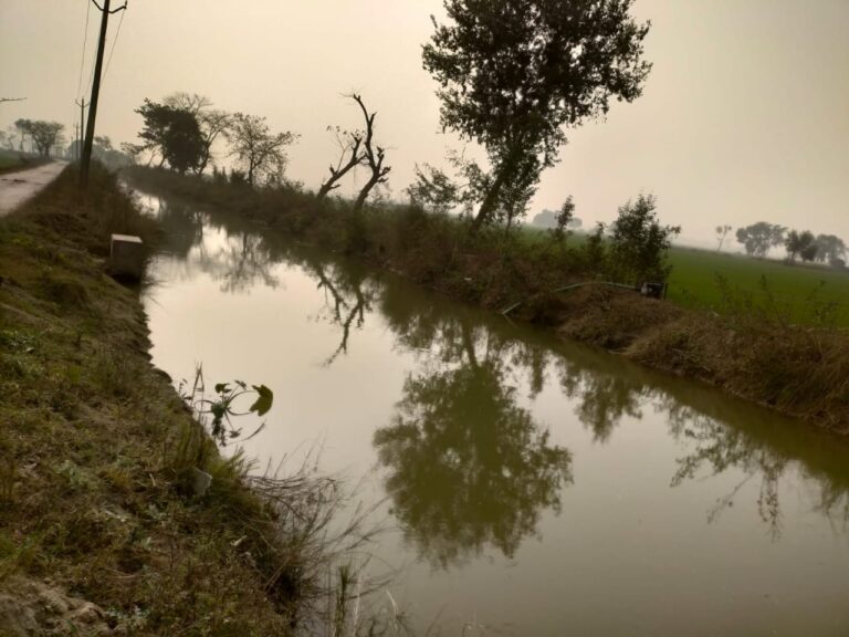 नहरों में छोड़ा गया पानी, किसानों के चेहरे खिले; गेहूं की फसल को मिला जीवनदान