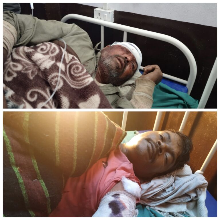 बहराइच में हिंसक जंगली जानवर का हमला, बचाने गया दूसरा ग्रामीण भी घायल, जिला अस्पताल रेफर