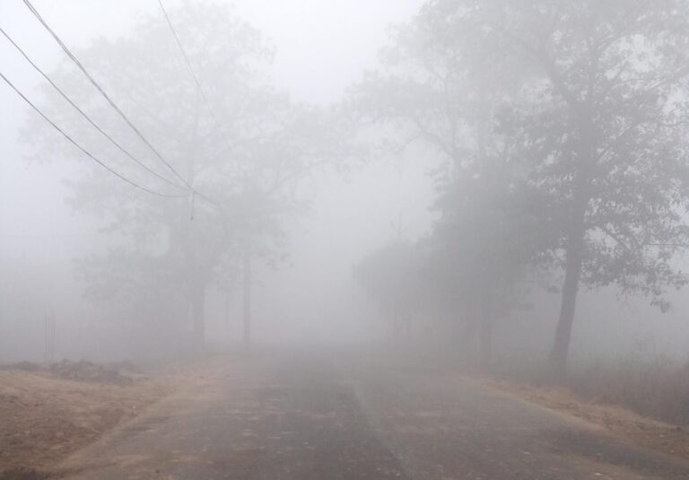 गलन भरी ठंड से कांपे लोग, अलाव बना राहत का सहारा
