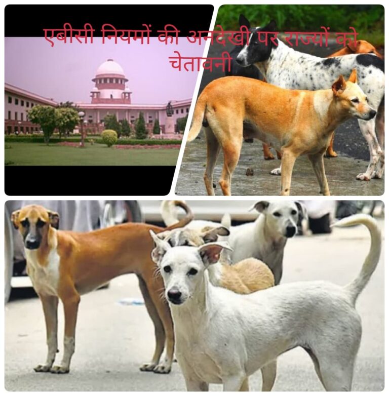कुत्ते के काटने से मौत पर सरकारें होंगी जिम्मेदार
