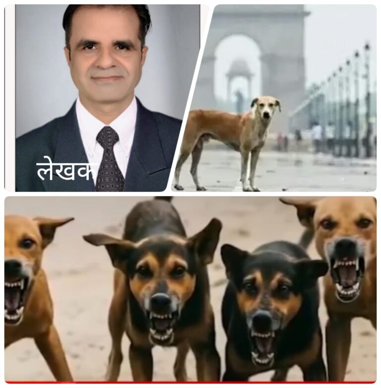 पशु अधिकार बनाम मानव जीवन: 20 जनवरी की सुनवाई से तय होगी भारत की सार्वजनिक सुरक्षा नीति
