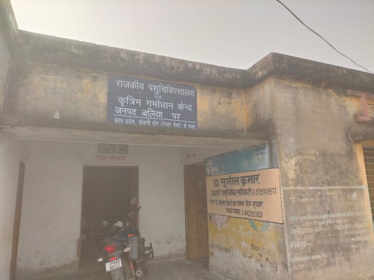 भगवान भरोसे पंदह ब्लॉक के पशु अस्पताल
