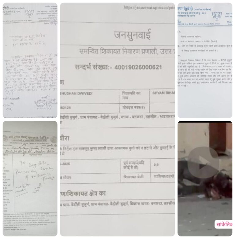 आक्रामक कुत्ते से दहशत, कई हमले और मौतों के बाद भी स्वामी पर कार्रवाई शून्य