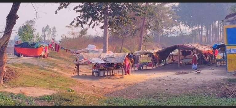कागज़ों में योजनाएं, ज़मीन पर संघर्ष: बीसवां गांव की हकीकत