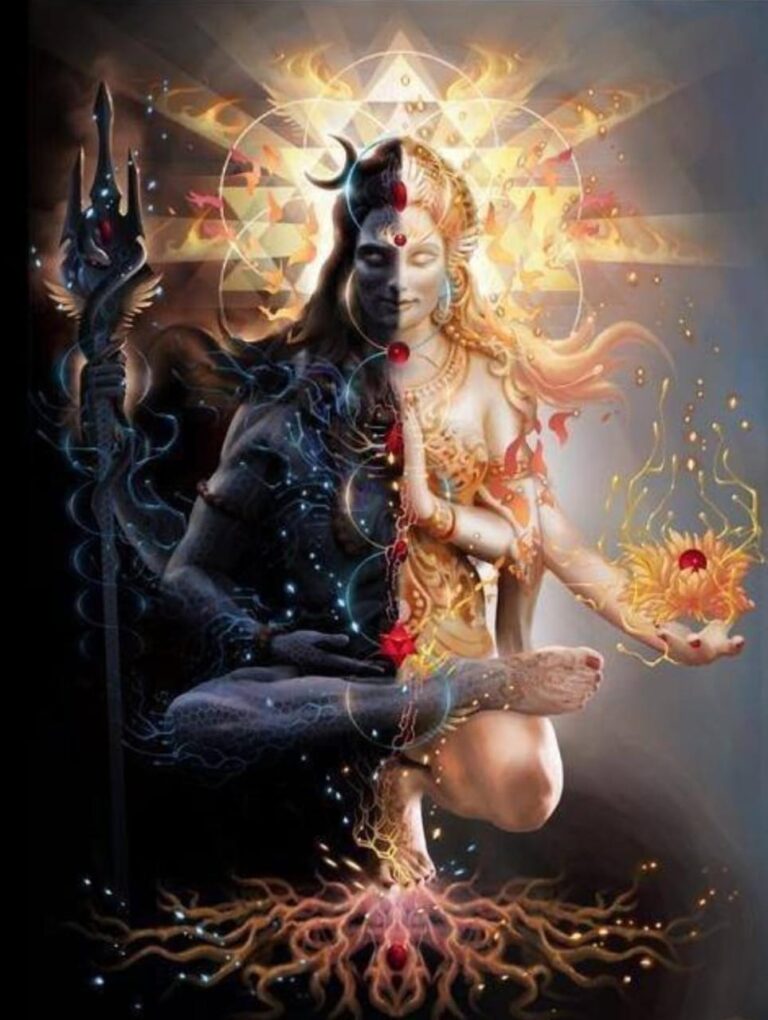 IMG-20260122-WA0100(1)