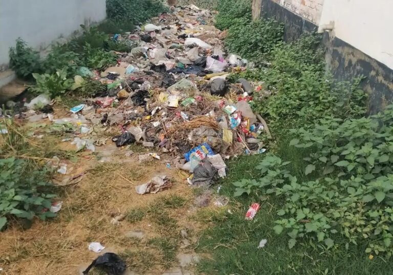 इंटरलॉकिंग सड़क बनी गंदगी का अड्डा