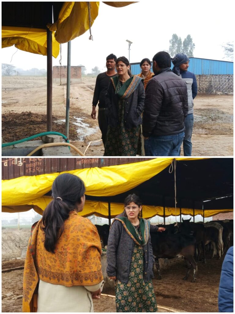 औरैया में गौशाला की लापरवाही उजागर, जिलाधिकारी ने लिया सख्त एक्शन