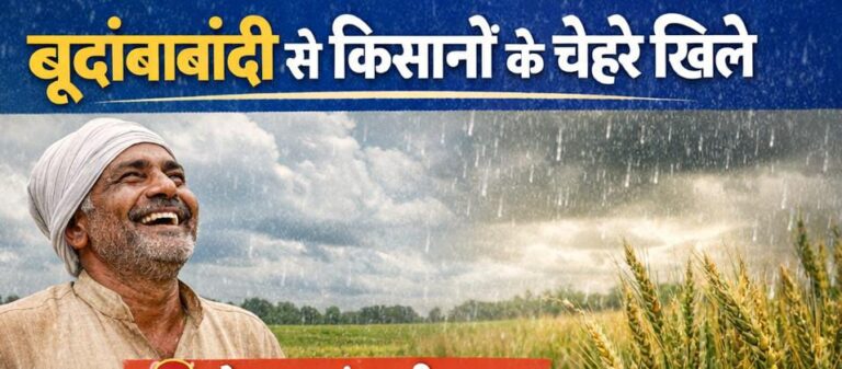 हल्की बारिश से किसानों के चेहरे खिले, रबी फसलों को मिली राहत