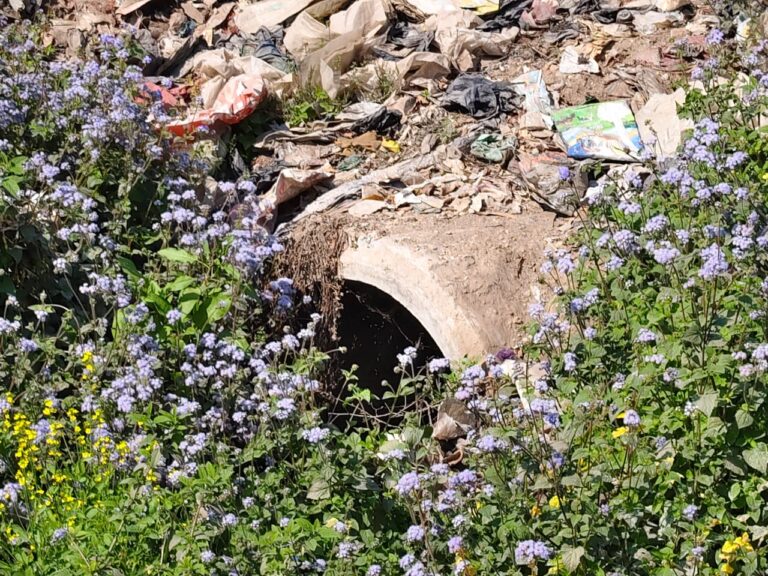 कोपागंज नाला निर्माण पर सवाल: 1 करोड़ 62 लाख खर्च, छह महीने बाद भी समस्या जस की तस