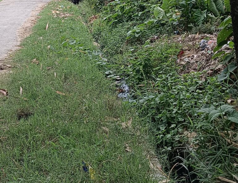 बेलभरिया में अवैध कब्जे से ठप जल निकासी व्यवस्था