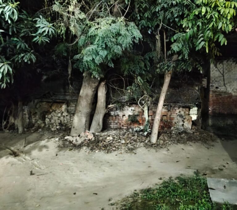 डांट से नाराज़ भाई ने पार की हैवानियत की हद