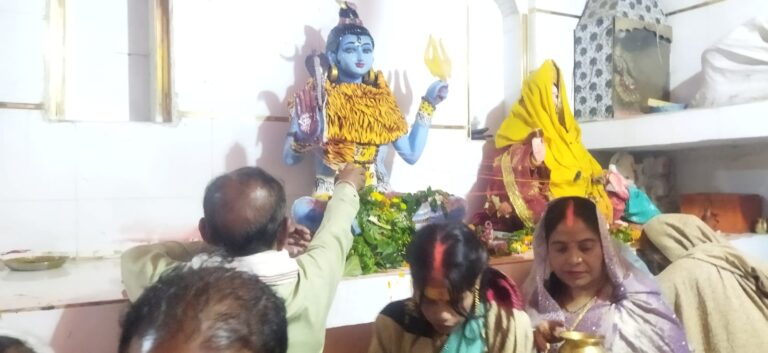 गाजे-बाजे के साथ निकली भव्य शिव बारात लोगों ने की फूलों की वर्षा