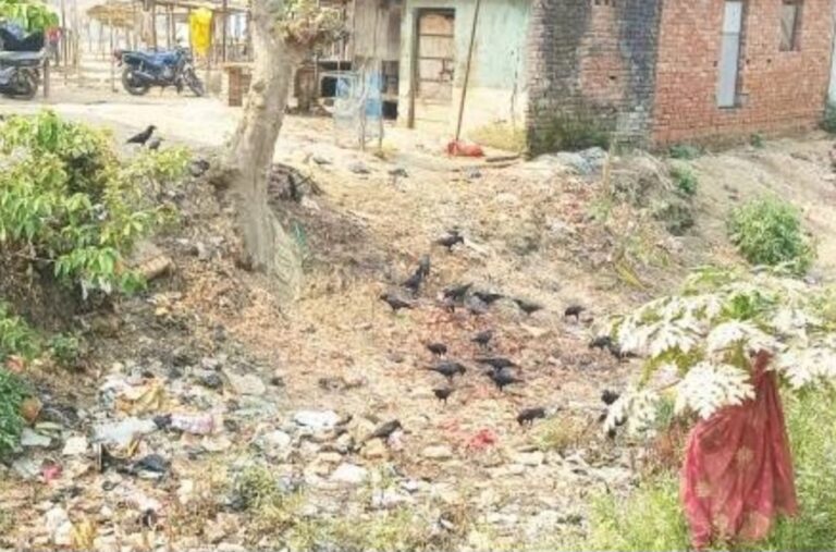 गंदगी और दुर्गंध से जूझ रहा पुरैना बाजार, सफाई व्यवस्था पर उठे सवाल