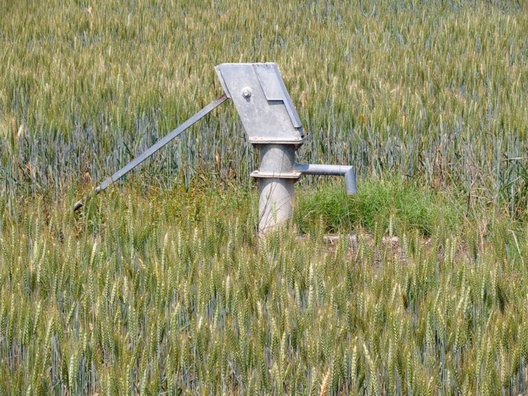 खेत के बीच लगा सरकारी हैंडपंप बना चर्चा का विषय, ग्रामीणों ने उठाए सवाल