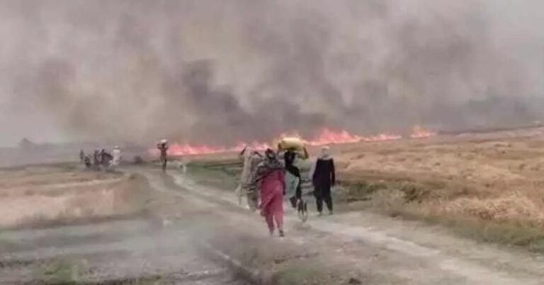 भीषण आग से गेहूं की तैयार फसल जली, किसानों को भारी नुकसान